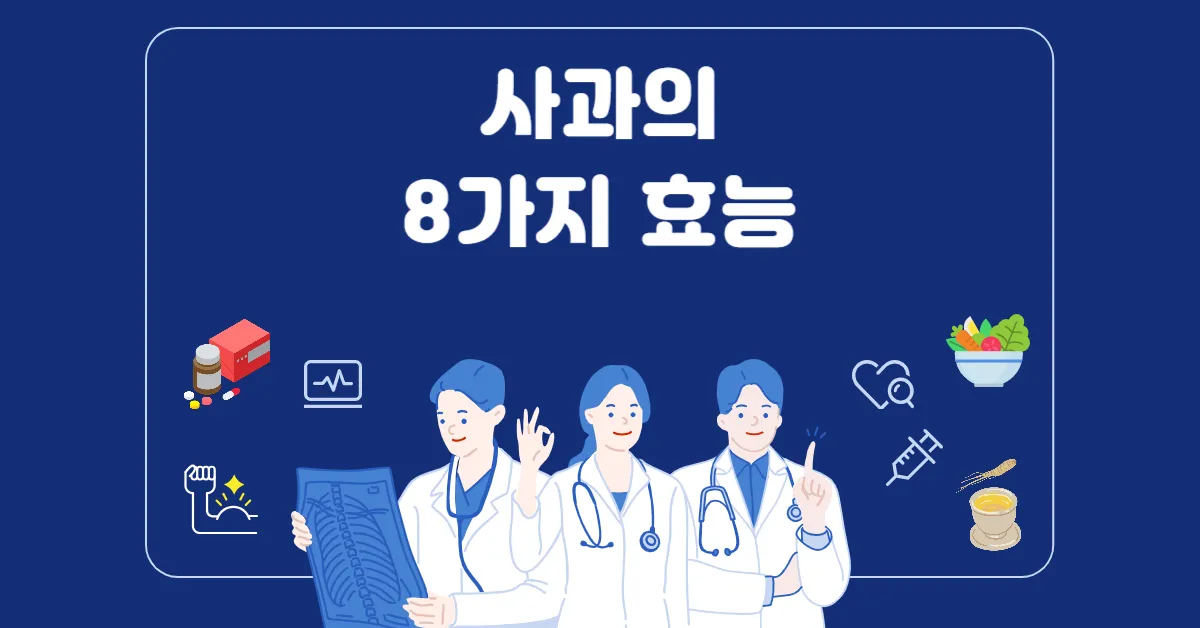 사과의 효능