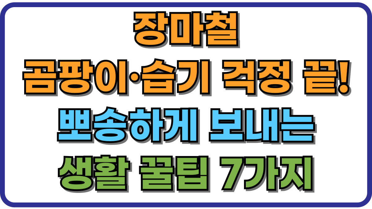 장마철 곰팡이·습기 걱정 끝! 뽀송하게 보내는 생활 꿀팁 7가지