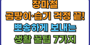 장마철 곰팡이·습기 걱정 끝! 뽀송하게 보내는 생활 꿀팁 7가지